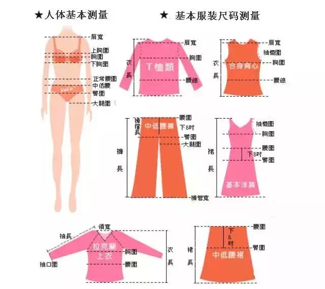 衣服型号对照表的尺码表，女士衣服身高体重尺码对照表