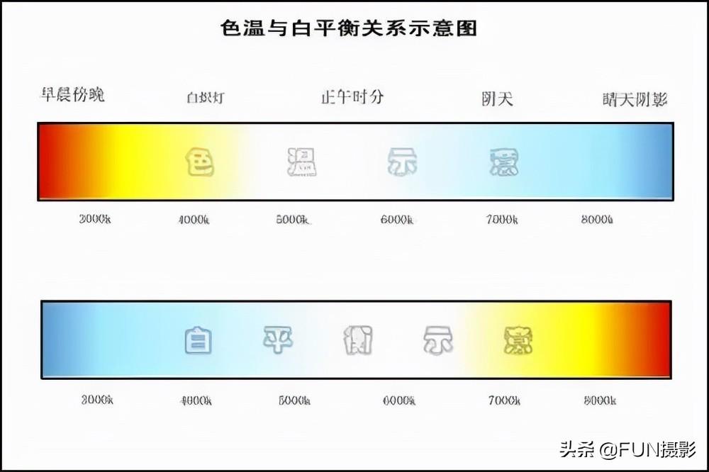 新手学摄影用什么相机，摄影入门教程从零开始学摄影